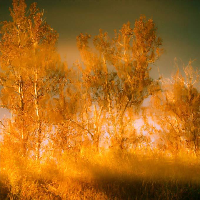 Зеркальный обман