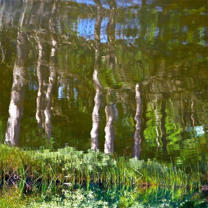 Зеркальный обман