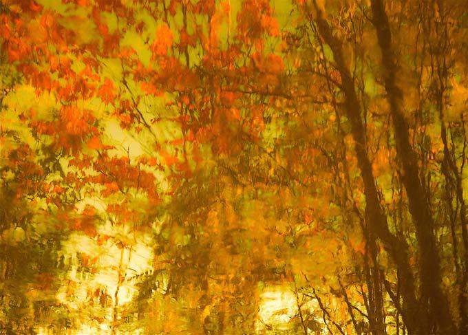 Зеркальный обман