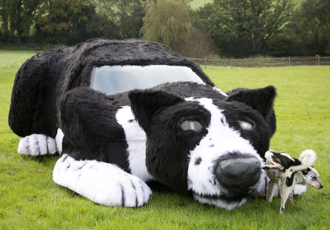 Если у вас нет собаки...