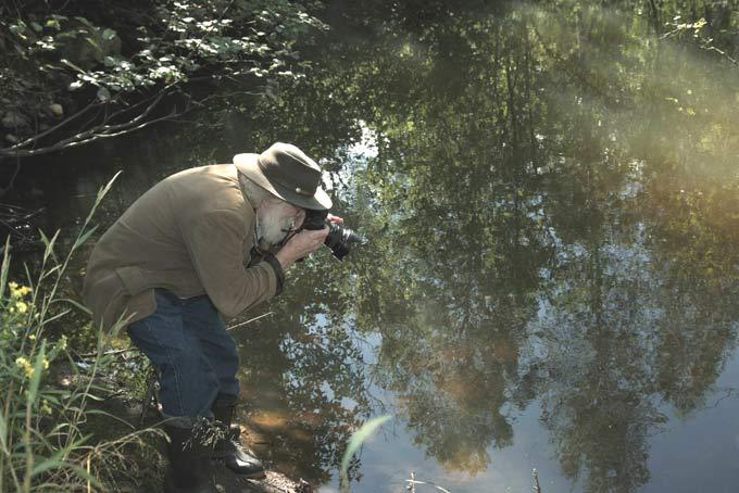 Зеркальный обман