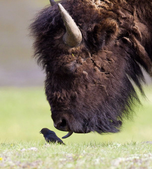 Любопытство не порок, лишь бы было оно впрок...