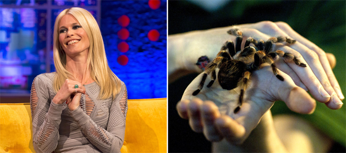 Звездные причуды: Страсть или болезнь?