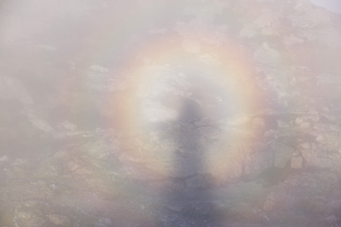 Страшно, аж жуть! Что это?