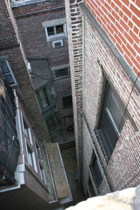 Собака, которая родилась в рубашке