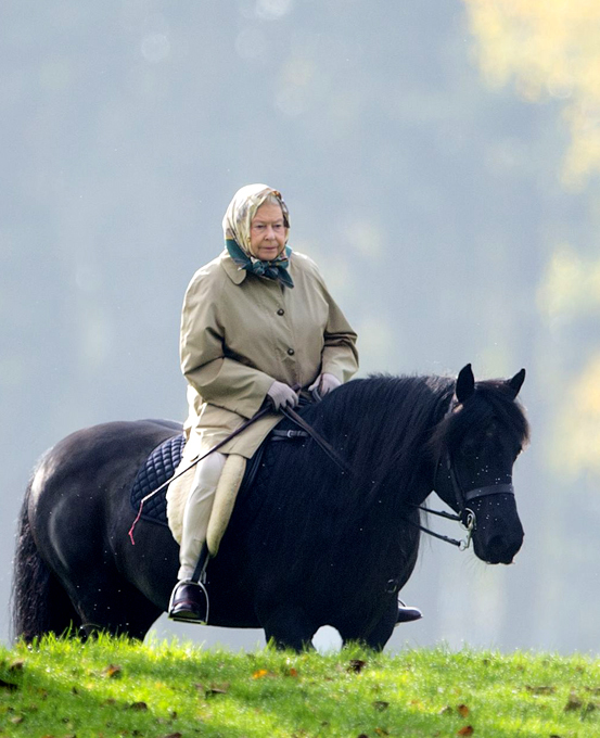 Просто Лиза. Королевская бабушка
