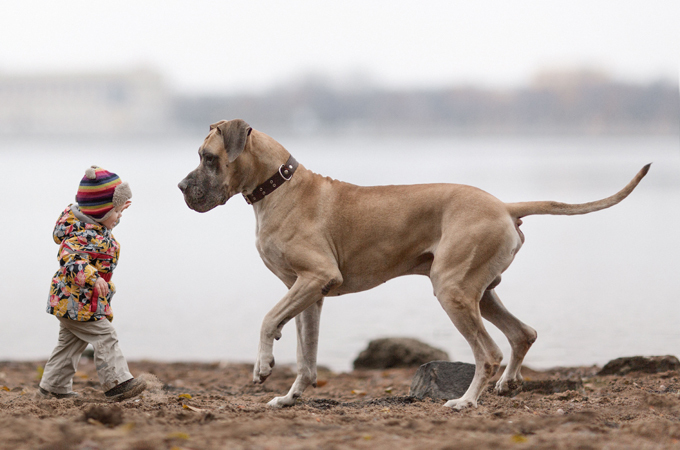 Просто чудо