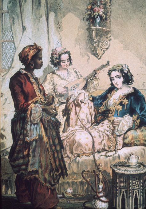 Полная и подлинная история гарема