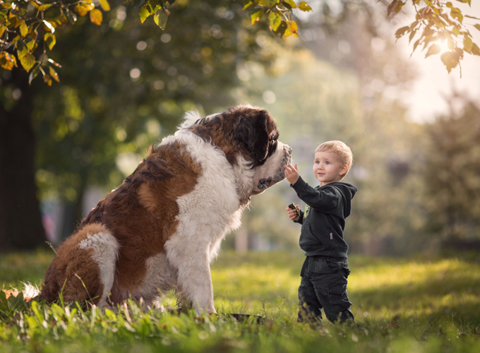 Просто чудо