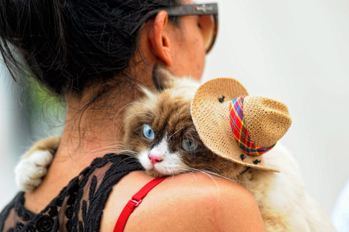 Интересное в мире