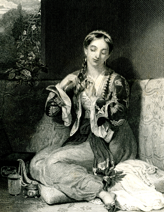 Полная и подлинная история гарема