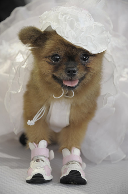 Интересное в мире