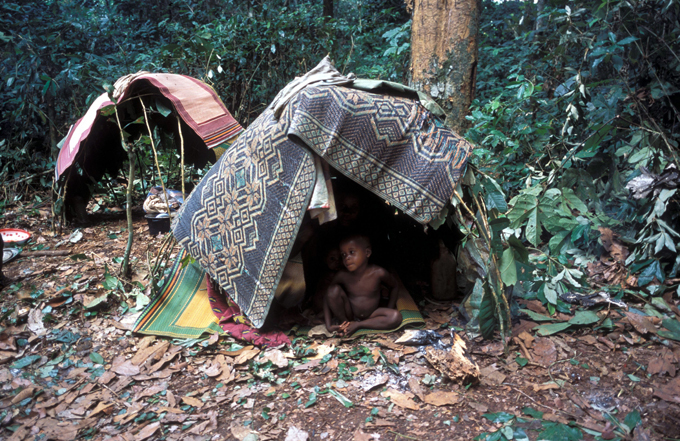 Пигмеи. Люди величиной с кулак