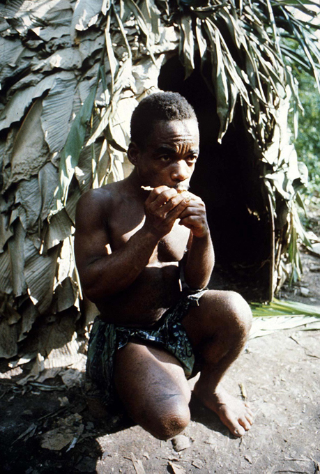 Пигмеи. Люди величиной с кулак