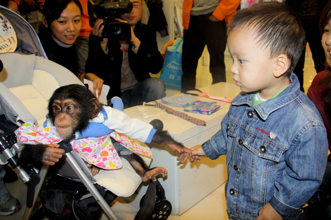 Экзотические животные дома: плюсы и минусы