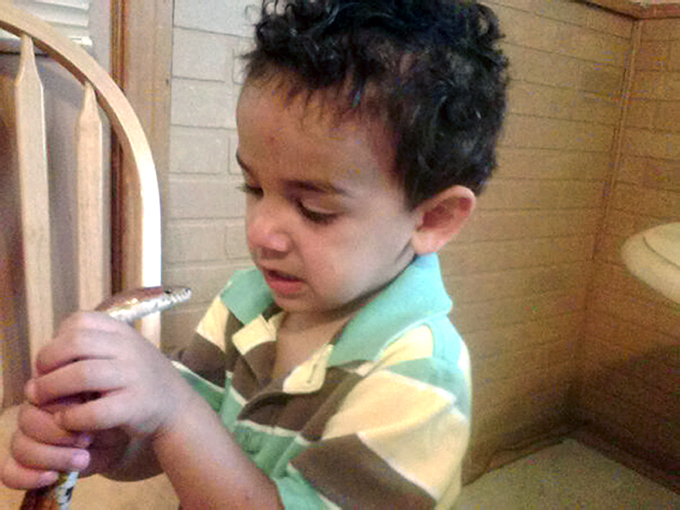 Экзотические животные дома: плюсы и минусы