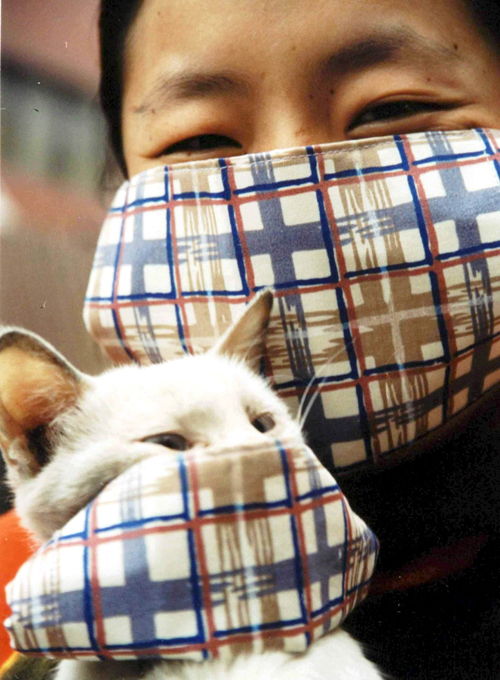 Их "мяу" для нас - закон! Главные члены семьи