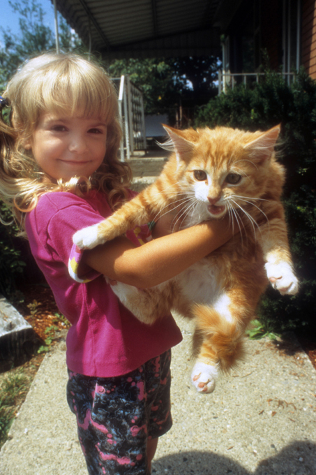 Их "мяу" для нас - закон! Незлобные пакости любимца