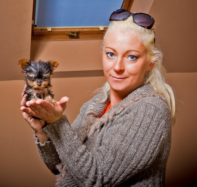 Терьер размером с банку кока-колы борется за звание чемпиона