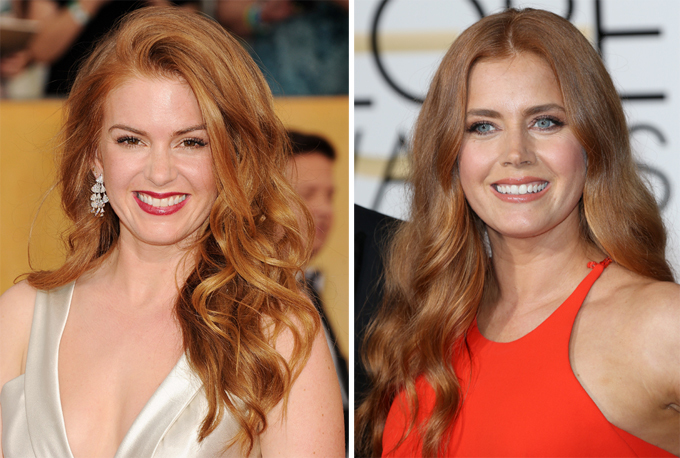 Две звезды: Найдите отличия. Айла Фишер и Эми Адамс