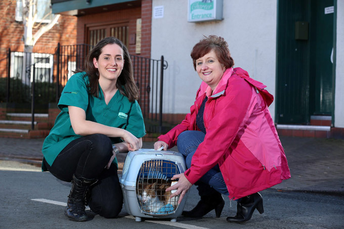 Кот вернулся к хозяйке через 8 лет