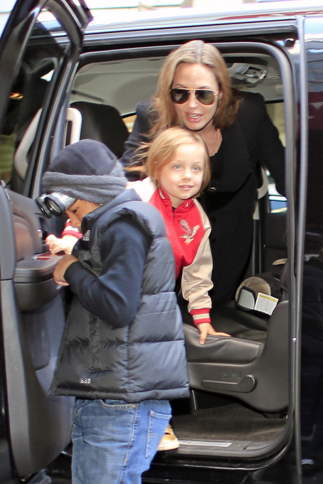 Анджелине Джоли удалили молочные железы