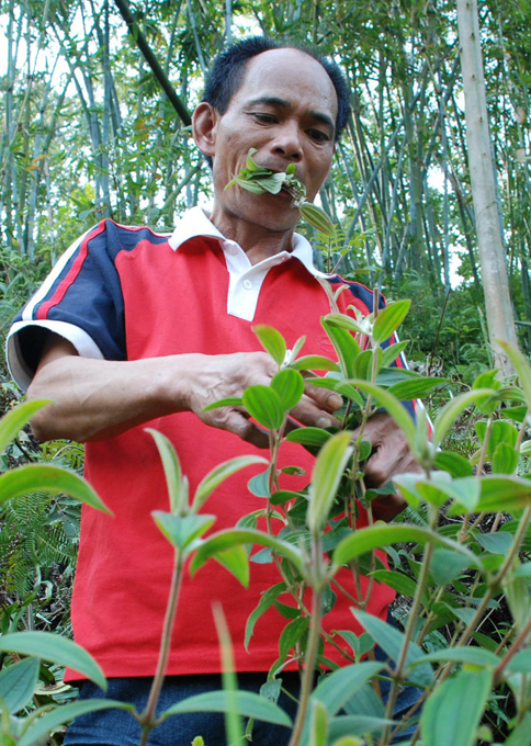 Губит людей не пиво... Диета