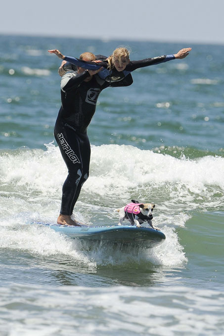 Собачий серфинг