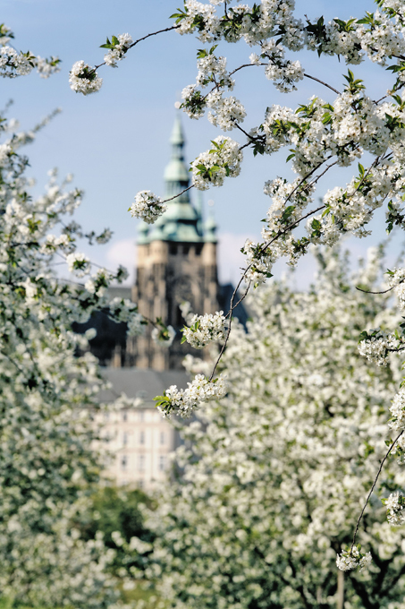 Рыцарские замки, которые нужно увидеть