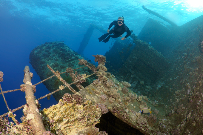 Тайны затонувших кораблей Красного моря