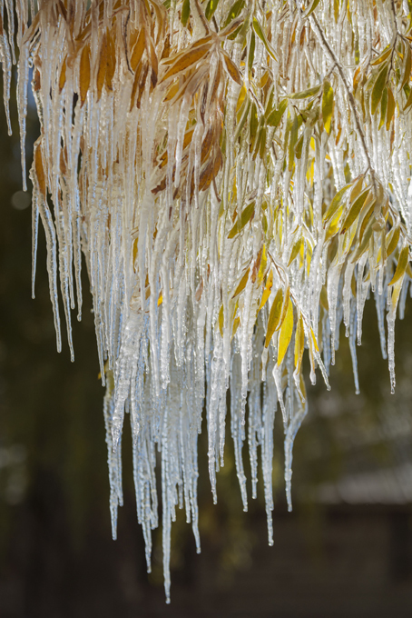 Прощание с осенью