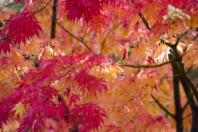 Прощание с осенью