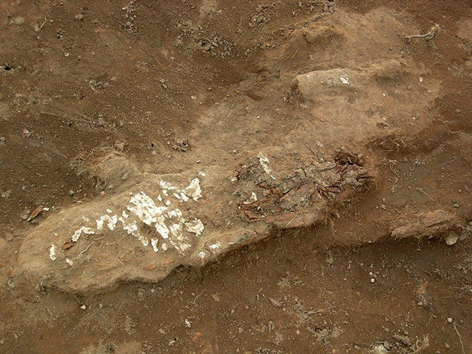 Загадки курганов Долины царей