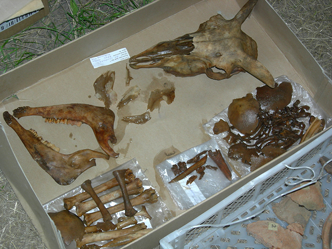 Загадки курганов Долины царей