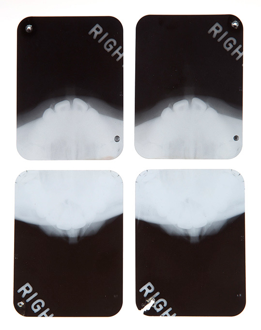 "Пластические тайны" Мэрилин Монро выставят на торги