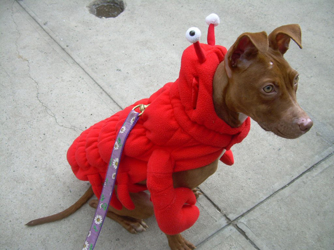 Интересное в мире