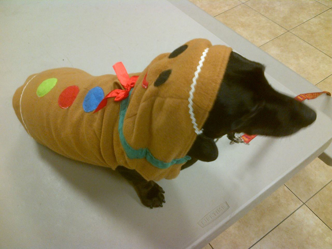 Интересное в мире