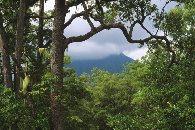 Чем "провинились" карликовые государства