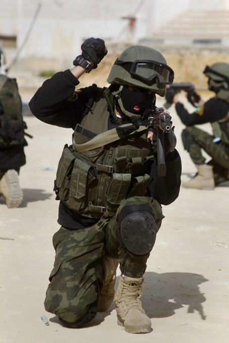 Силы безопасности Палестины: Из партизан в генералы