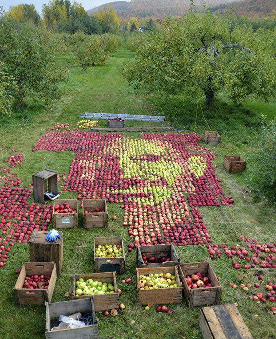 Яблочный портрет Стива Джобса