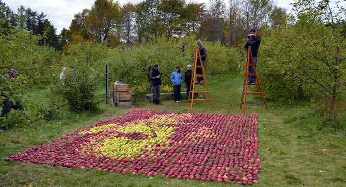 Яблочный портрет Стива Джобса