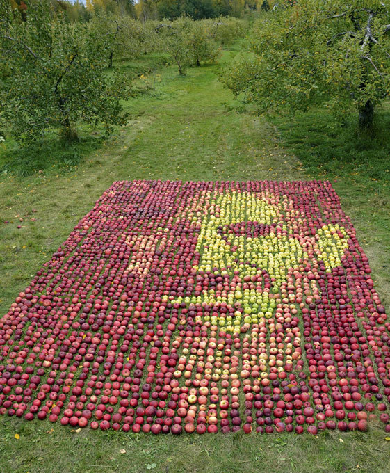 Яблочный портрет Стива Джобса