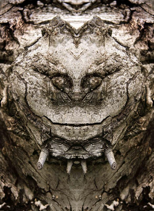 И у деревьев есть... лица