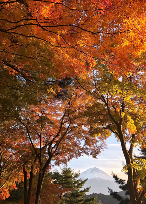 Фудзи. Священная гора Японии