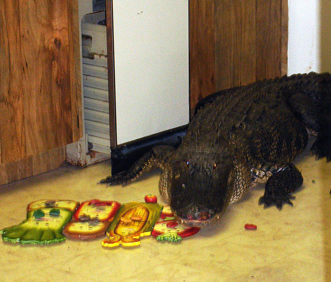 Крокодильи истории