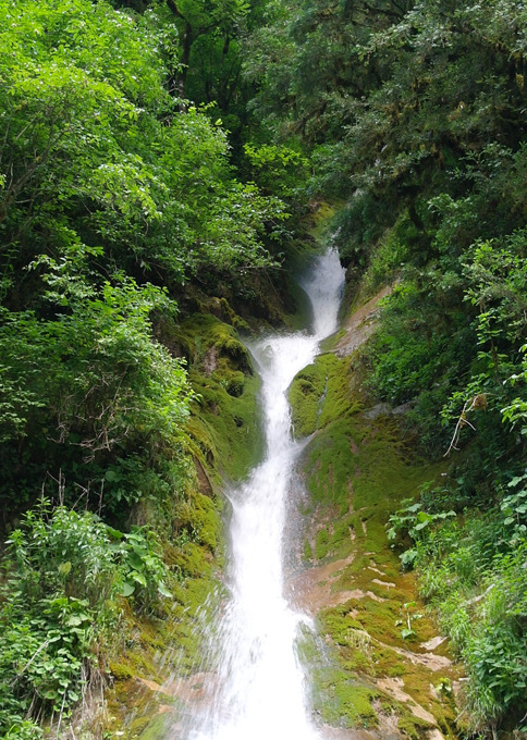 Абхазия - страна души