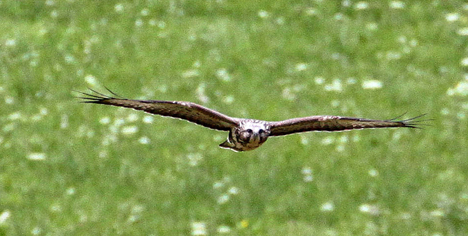 Волшебство полета