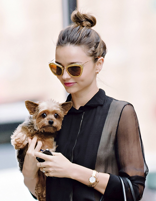 То ли друг человека, то ли аксессуар...