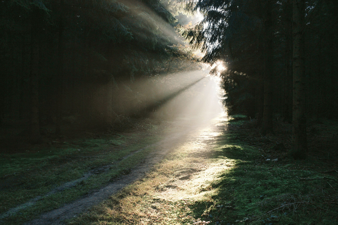 В лучах восходящего солнца