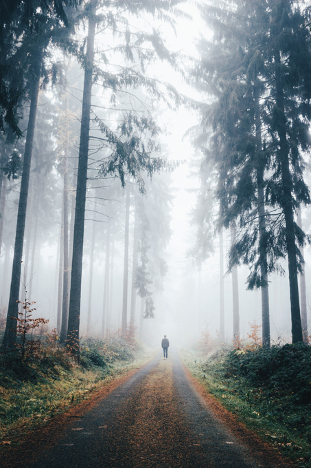 В лучах восходящего солнца